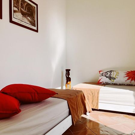 Il Cactus: Una Piccola Oasi In Paese 法维尼亚纳 外观 照片