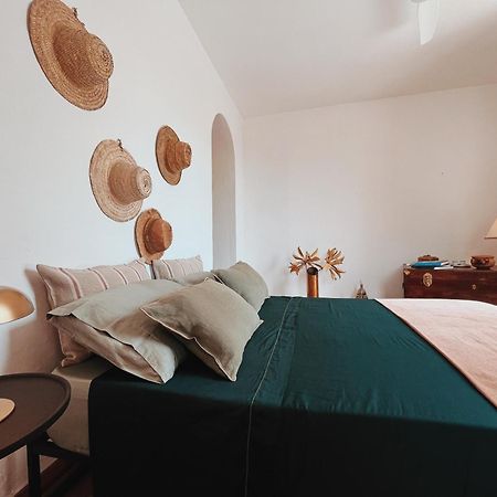 Il Cactus: Una Piccola Oasi In Paese 法维尼亚纳 外观 照片