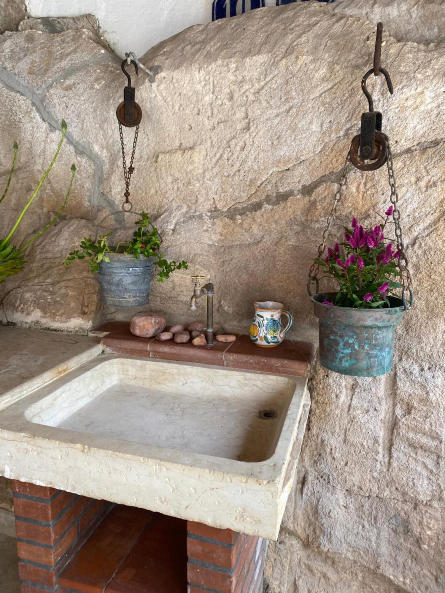 Il Cactus: Una Piccola Oasi In Paese 法维尼亚纳 外观 照片